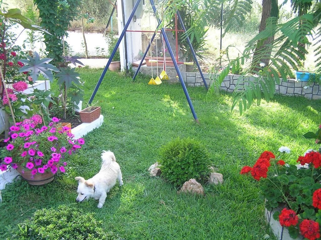 Villa Dallas Vurvurú Kültér fotó